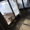 雪と猫：Snow and Cat