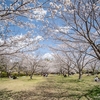 桜・2025「針木浄水場～JR伊野駅」 2025.4.3
