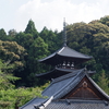 二上山麓の寺院を巡る（石光寺～當麻寺）