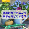今年の猛暑に考えた！今後の夏のガーデニングどうする...？
