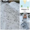 ＜転倒骨折注意報＞歩道がスケートリンクみたいにツルツルで超危険です！！