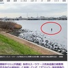 多摩川スーツケース事件の現場でシーバス釣り。