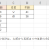 【Excel】IF関数内に別の関数を入れる(IF関数の応用) 〜IF関数とSUM関数を使用して年齢の合計を比較する〜