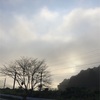 ソンな生き方とトクな生き方⁉︎