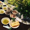 晩ご飯ライブvol.21