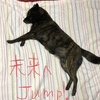 甲斐犬サンの壁画シリーズ〜「飛翔編」─=≡Σ((( つ•̀ω•́)つ