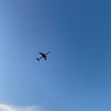 散布
