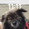 ニライ▼・ｴ・▼