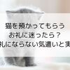猫を預かってもらうお礼に迷ったら？失礼にならない気遣いと実例