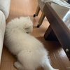 デュアルライフ開始‼️