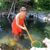 混浴！和琴温泉「和琴温泉露天風呂」