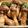 マツタケって美味いですか？
