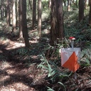 iwa's orienteering