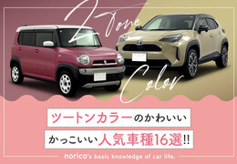 ツートンカラーのかわいい/かっこいい人気車種16選！