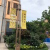 【上海観光】上海にて開催中の草間彌生展に行ってきました！