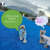 愛犬と楽しむ山中湖旅行記：誕生日に贈る至福の旅　Wan’s Resort山中湖