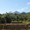 故郷の原風景