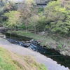 4月18日(金)秩父フライフィールドの河川情報