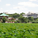 しあわせを探す旅