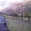 中高年の山歩き　三本杭から雨引山（前編）