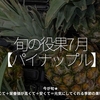 2444食目「旬の役果 7月【パイナップル】」今が旬★　美味しくて＋栄養価が高くて＋安くて＝元気にしてくれる季節の果物を紹介
