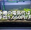 アクアリウム：水槽の電気代、維持費用は月々いくらかかってる？