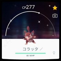 年1月にゲットした色違いポケモンまとめ えいくの日記 年1月にゲットした色違いポケモンまとめ えいくの日記