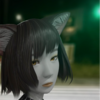 20240515日記