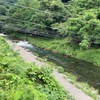 6月13日(金)秩父フライフィールドの河川情報