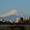 輝く新年「富士山」　ハッキリ見えました