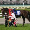 競馬 大阪杯 G1 予想 と結果