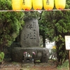 櫻花公園の神之池神雷桜・・