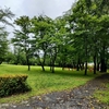 小雨ぱらつく公園を散歩