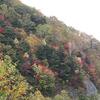 志賀高原の紅葉