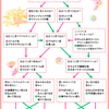 パーソナルカラーを知ろう