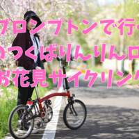 ブロンプトンで春のつくばりんりんロードお花見サイクリングしてきた話 2025.04.12