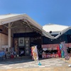 和歌山 「黒潮市場」で本マグロを堪能しよう！超新鮮で美味いんで、行かない手はない！！