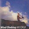 奥井亜紀『Wind Climbing』 6.3