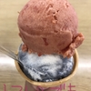 産直ジェラート🍨