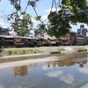 京都ぶらり　本日の一枚　鴨川の風景