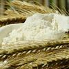 スペルト小麦に拘る理由。小麦粉が体に悪い事を実証する２つの動物実験結果が怖い！