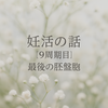 【妊活9周期目】最後の胚盤胞移植：30％未満の希望