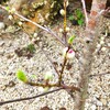 年度末　なんでもありの一挙公開総ざらえの……天気