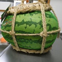 ジャンボなスイカの　お味は繊細なのよ☆彡