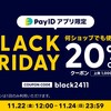20241122の記録