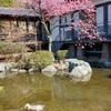 年だわ&#65374;