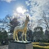 ３/31(日) ドバイ ４ G１ よそう屋 のりべえの買い方！