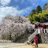 小川→平→小名浜 桜巡り