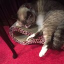 虚時間のRubyist Blog