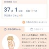 37w1d 妊婦検診と体調メモ